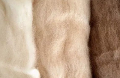 What is cashmere? What are the advantages and disadvantages of cashmere fabric?