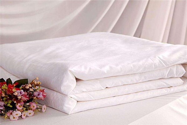 Which is better, silk quilt or down quilt in winter?